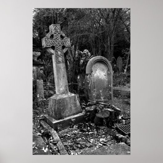 ArnosVale7 ポスター (正面)