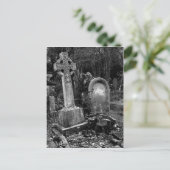 ArnosVale7 ポストカード (スタンド正面)