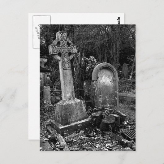 ArnosVale7 ポストカード (正面/裏面)