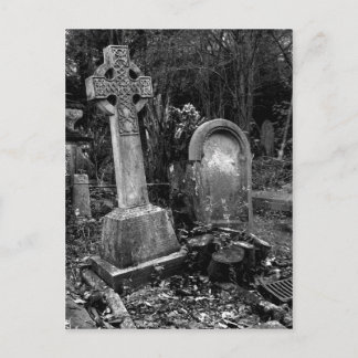 ArnosVale7 ポストカード