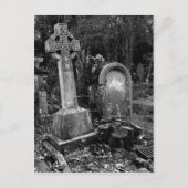 ArnosVale7 ポストカード (正面)