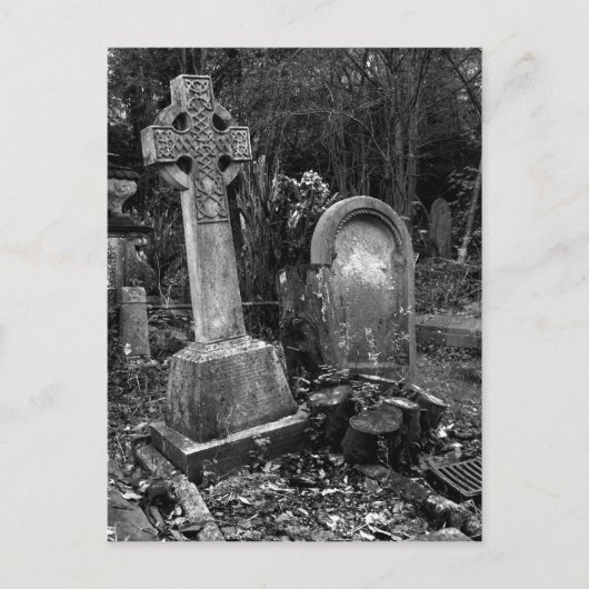 ArnosVale7 ポストカード (正面)