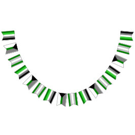 Aromanticスペクトルの旗布の旗 バンティングフラッグ