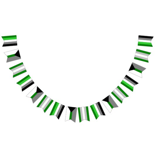 Aromanticスペクトルの旗布の旗 バンティングフラッグ (全)