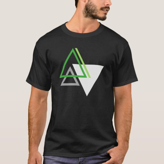 Aromantic Aro Pride Subtle Geometric LGBTQ LGBT Ga Tシャツ (正面)