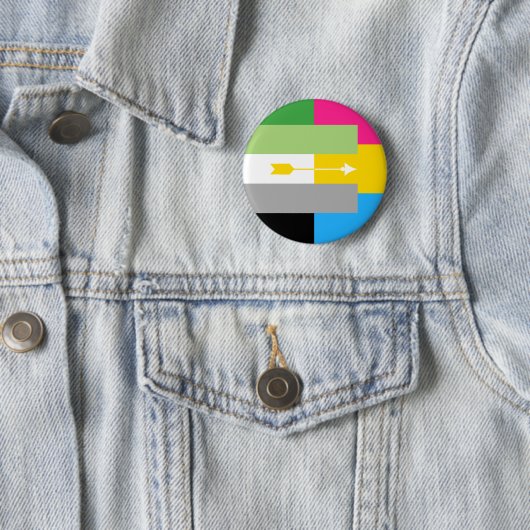 Aromantic Pansexual Pin 缶バッジ (インサイチュ)