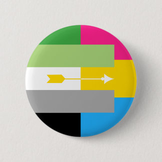 Aromantic Pansexual Pin 缶バッジ
