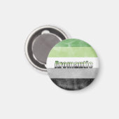 Aromantic pride flag magnet マグネット (正面/裏面)
