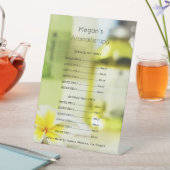 Aromatherapy Spa Skin Care Salon Price List 台座サイン (インサイチュ)