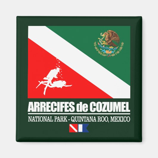 Arrecifes de Cozumel (sq) マグネット (正面)
