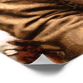 Arrowmaker, an Ojibwa brave, 1903 ポスター (角)