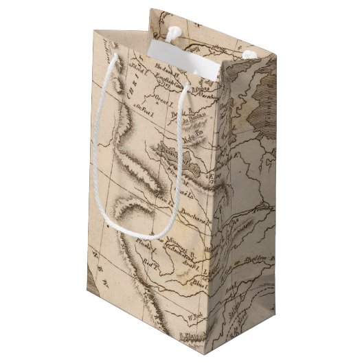 Arrowsmith著ルイジアナの地図 スモールペーパーバッグ (裏面アングル)