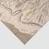 Arrowsmith著ルイジアナの地図 薄葉紙 (詳細)