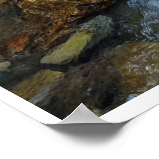 Arroyo Flow ポスター (角)