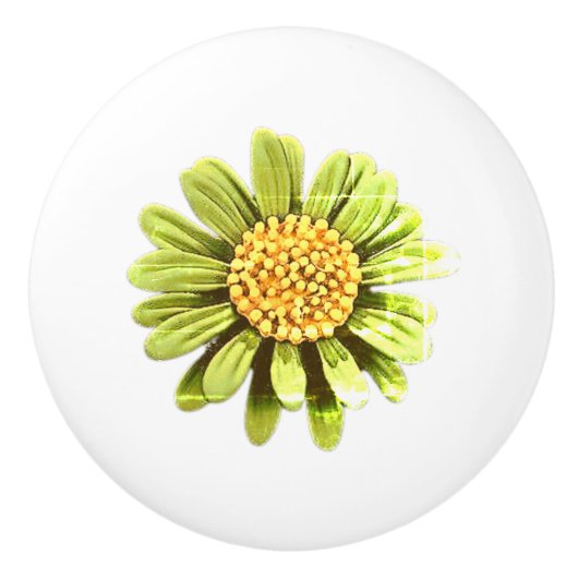 ARTおよびデザインセラミックプル セラミックノブ (正面)