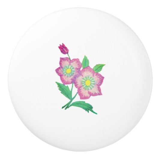 ARTおよびデザインセラミックプル セラミックノブ (正面)