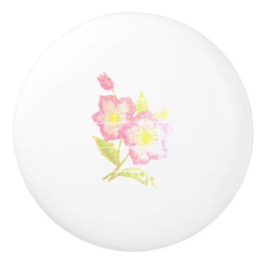 ARTおよびデザインセラミックプル セラミックノブ (正面)