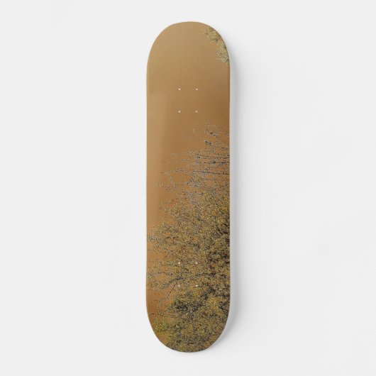 ART AND DESIGN SKATE BOARD スケートボード (正面)