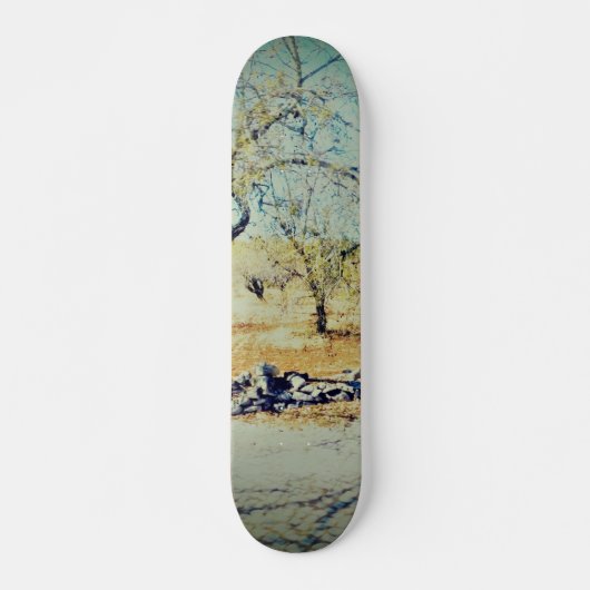 ART AND DESIGN SKATE BOARD スケートボード (正面)
