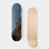 ART AND DESIGN SKATE BOARD スケートボード (正面)