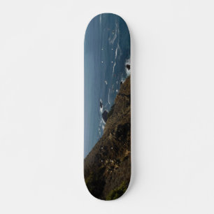 ART AND DESIGN SKATE BOARD  スケートボード