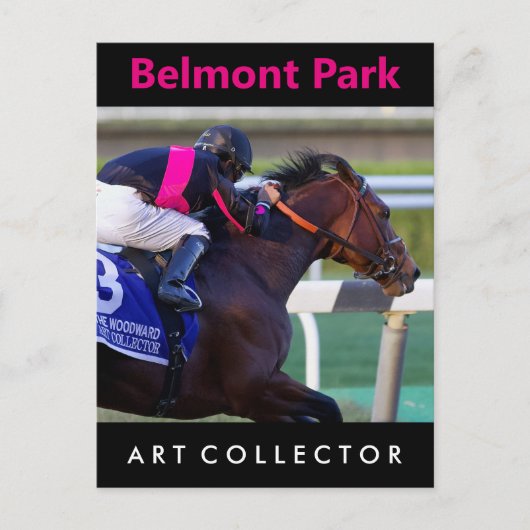 Art Collector & Saez ポストカード (正面)