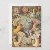 Art Deco Art Nouveau Striped Gold Tone Modern  招待状 (裏面)