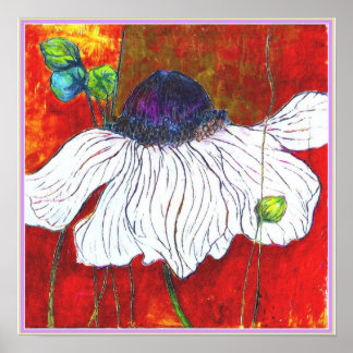 ART-ON-CANVAS: 'White Night Anemone' 15"x15" ポスター