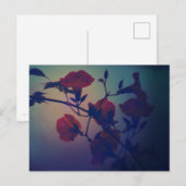 Art Postcard ”Cinematic & Noir” ポストカード (正面/裏面)