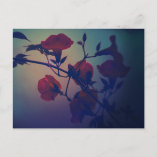 Art Postcard ”Cinematic & Noir” ポストカード