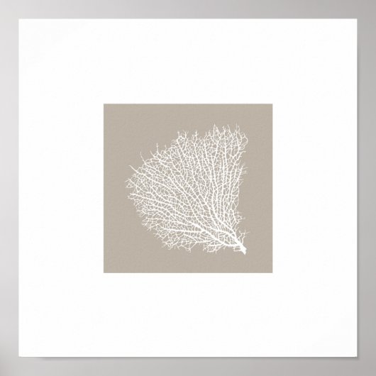art print of white coral branch ポスター (正面)