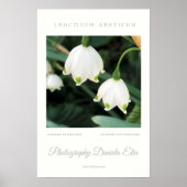 Art Print - „Summer Snowflake“  ポスター (正面)