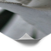 Art Print: Whale Vertebrae ポスター (角)