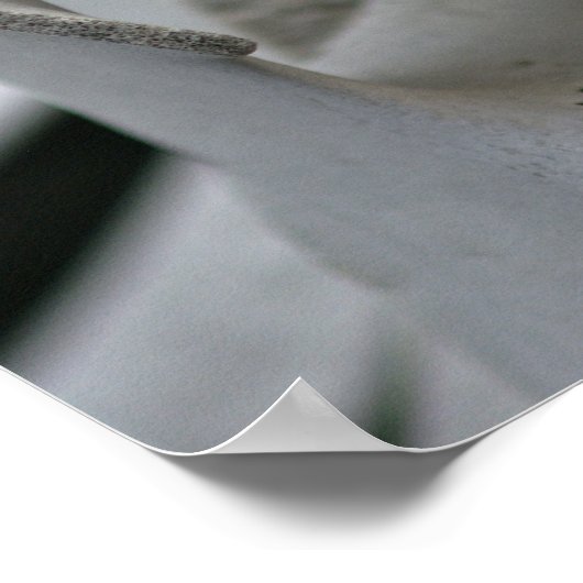 Art Print: Whale Vertebrae ポスター (角)