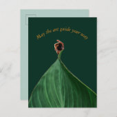 Arte Botânica "May the art guide your way" ポストカード (正面/裏面)