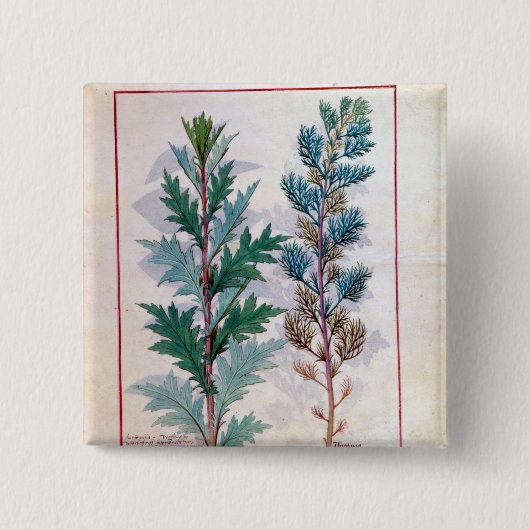 Artemesiaの2つの変化 缶バッジ (正面)