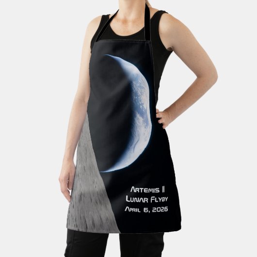 Artemis II Lunar Flyby エプロン (インサイチュ)