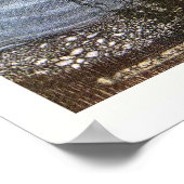 Arthur Rackham – ピーターパンケンジントンガーデンズ ポスター (角)