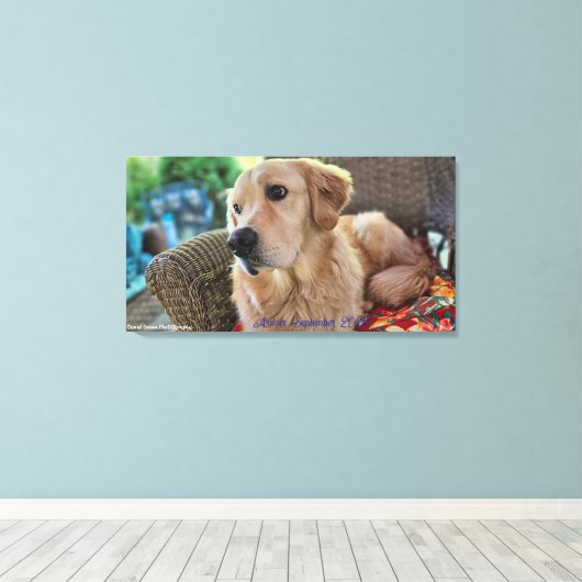 Arthur, September 2025 キャンバスプリント (インサイチュ (ウッドフロア))