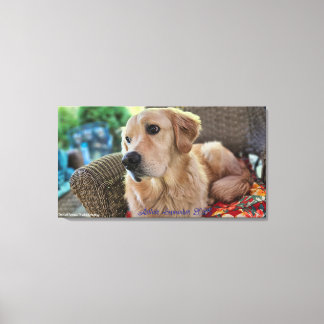 Arthur, September 2025 キャンバスプリント