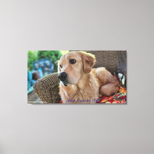 Arthur, September 2025 キャンバスプリント (正面)