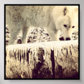 Arthur the Wolf ポスター (正面)