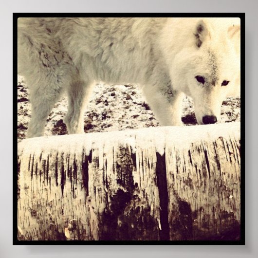 Arthur the Wolf ポスター (正面)