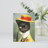 Arthur Thiele - Mr. Cat ポストカード (スタンド正面)