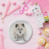 Articキツネ ペーパープレート (パーティー)