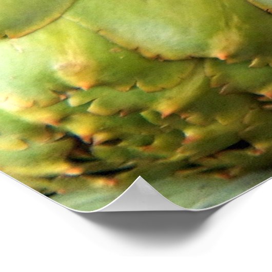 Artichokes ポスター (角)