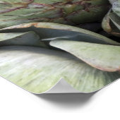 Artichokes ポスター (角)