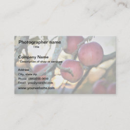 Artist/Photographer/Digital Art 名刺