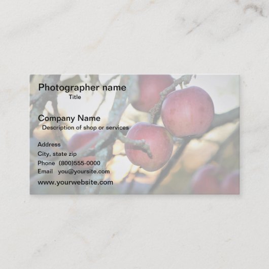 Artist/Photographer/Digital Art 名刺 (正面)