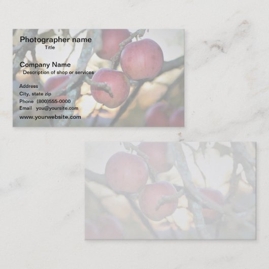 Artist/Photographer/Digital Art 名刺 (正面/裏面)